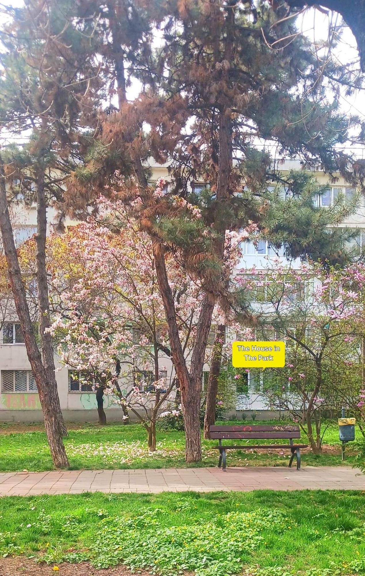 Апартаменти The House In The Park Бухарест Екстер'єр фото
